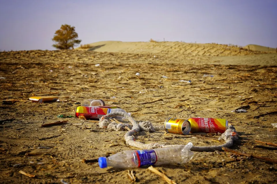 Mikrodalgada Plastik Kap Kullanımının Gizli Zararları Nelerdir?