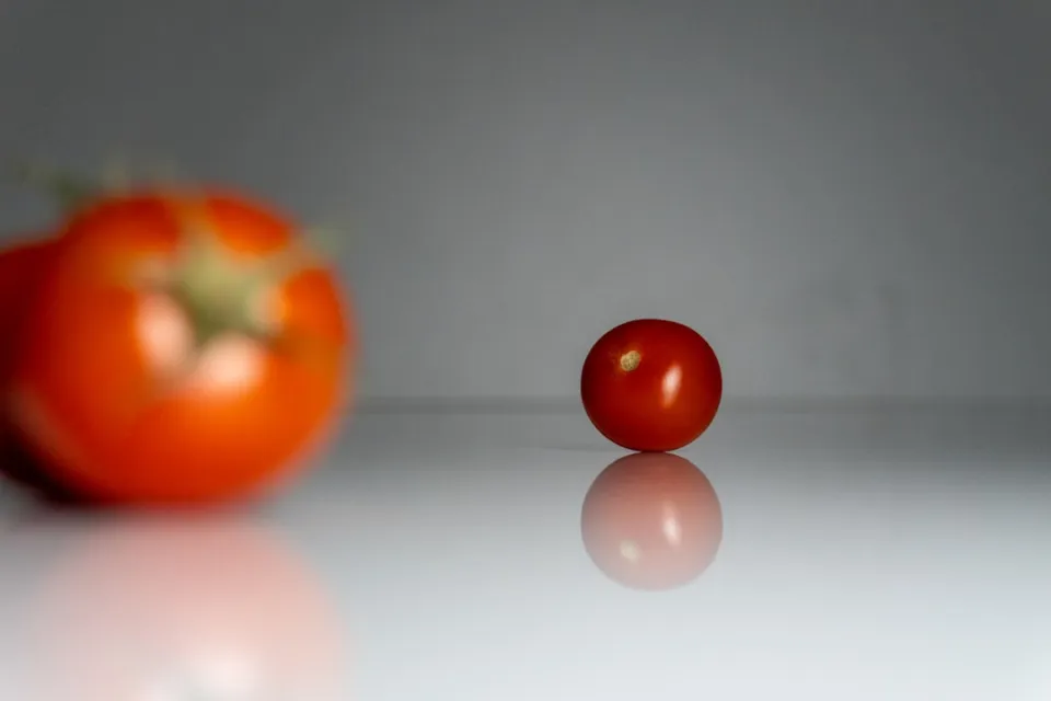 Pomodoro Tekniği ile Uzun Ders Çalışma: Maksimum Odaklanma
