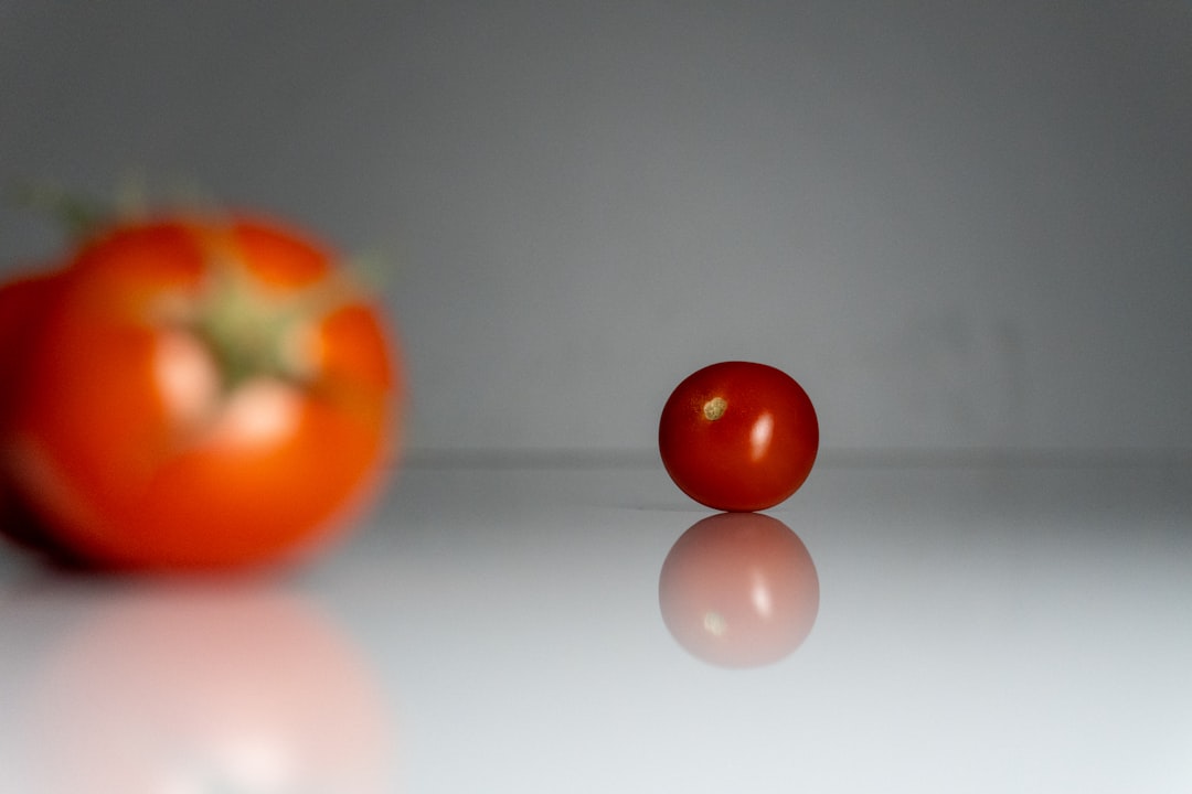 Pomodoro Tekniği ile Uzun Ders Çalışma: Maksimum Odaklanma