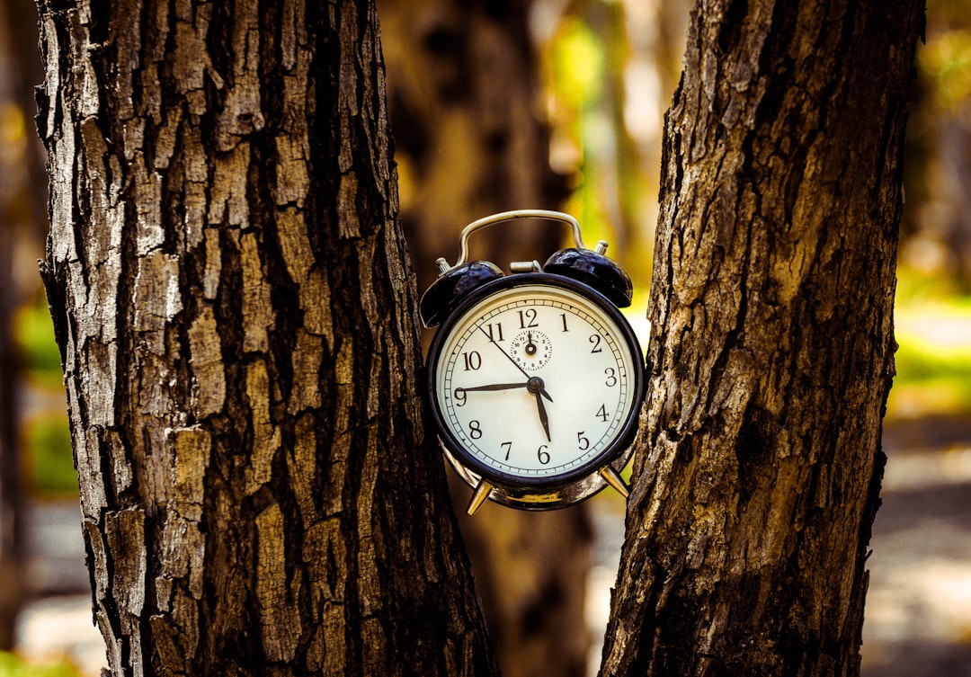 Aralıklı Oruç (Intermittent Fasting): Kurallar ve Bilinmeyen Faydalar